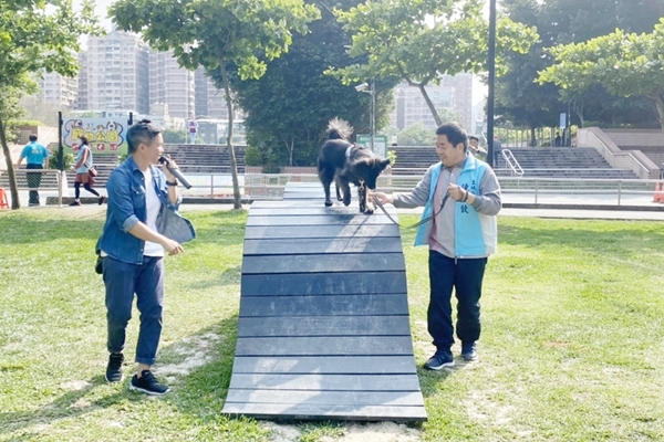 趣味波浪板歡迎毛小孩一起來使用