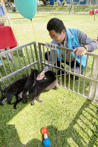 公所也有邀集新北市政府動物保護防疫處免費設置「免費注射疫苗站」、「貓狗幸福認養站」