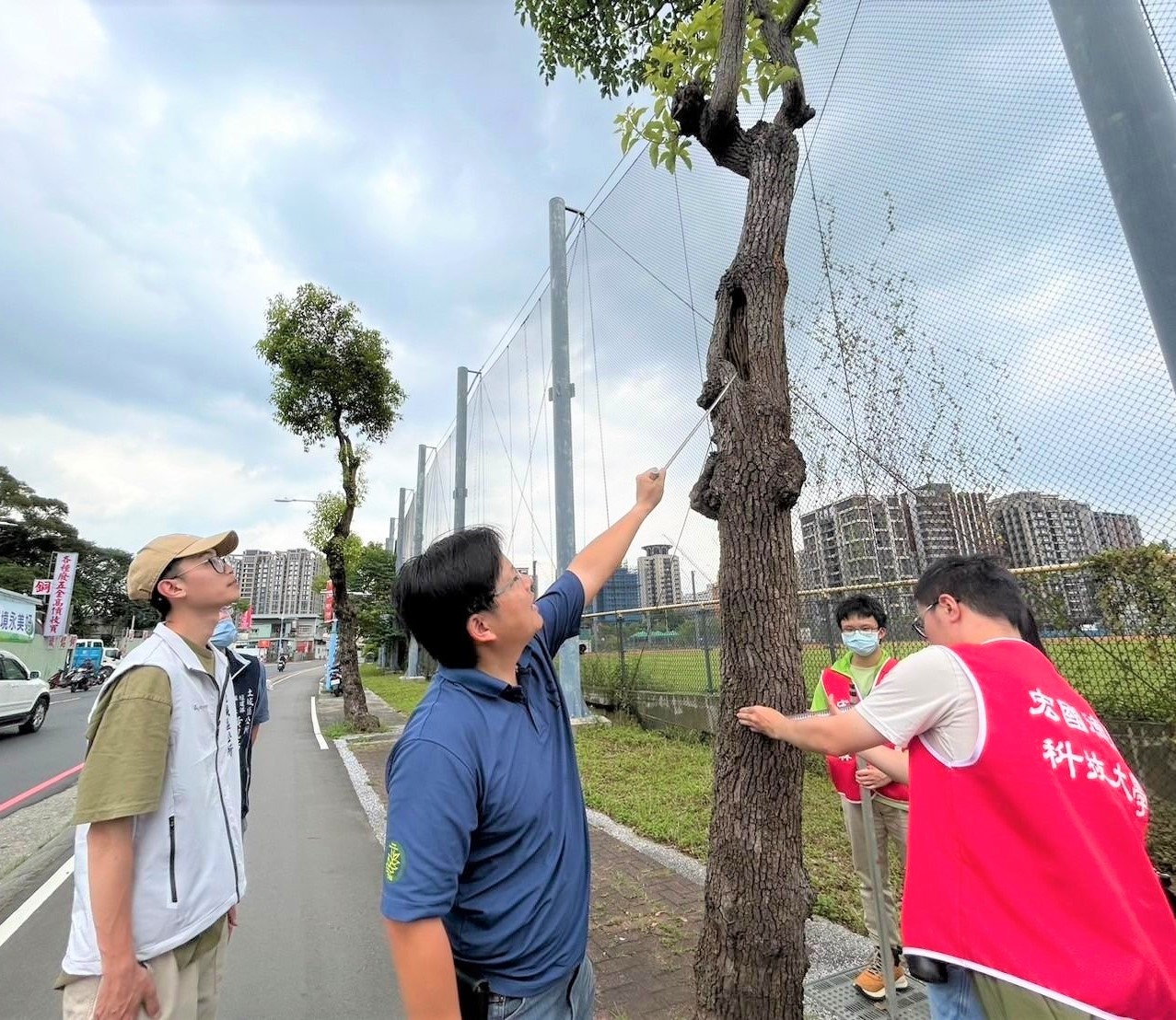 明德路一段行道樹檢測