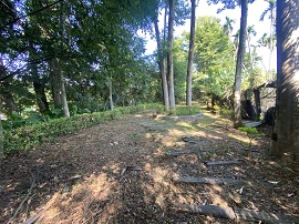 明德公園林蔭