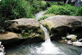 石門溪內的水斷石特殊景觀