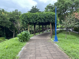 清和社區公園步道植栽